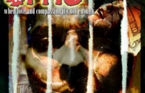 O.Y.S (Overcome Your Shackles) Film Project Seeks Kick-start Funds!