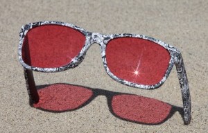 REVOLUTIONARY SUNGLASSES COMPANY, CANVAS EYEWEAR