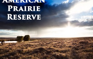 Documentary film ‘American Prairie Reserve’ Launches on Kickstarter