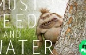 This Kind Films Explores Love From a Fresh Perspective in a New Kickstarter Project
