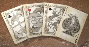 0552f2037822e6874e7debc04127b251_original