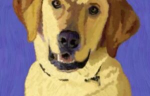 Support Animal Care with the Pop Dogs 2016 Calendar on Indiegogo