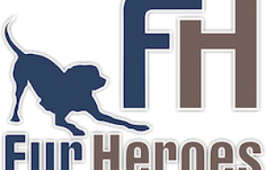 Survival Leash – The Life Saving Dog Leash