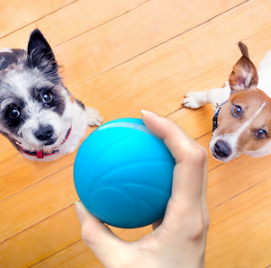 NEW INTERACTIVE BALL FOR YOUR PET